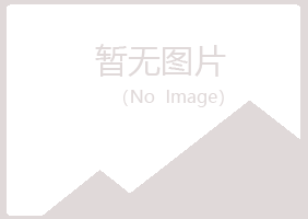 宁夏女孩能源有限公司